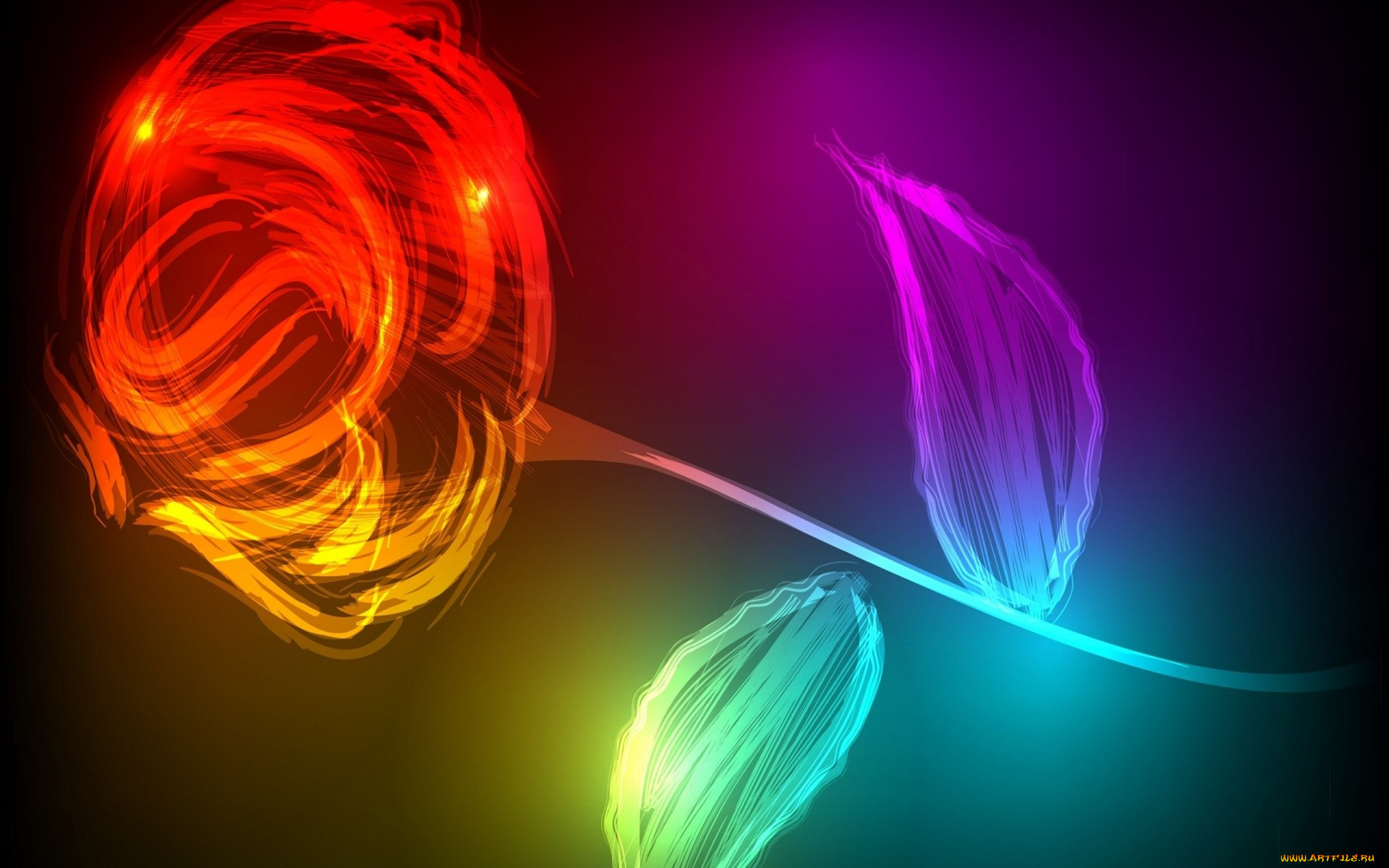 3 ,  , flowers, 